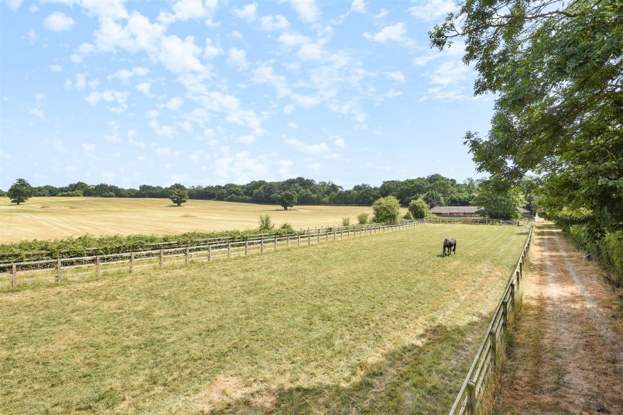 Images for Carters Hill, Wokingham EAID:wentworthapi BID:3