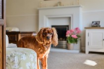 Images for Broad Hinton, Twyford, Reading, Berkshire, RG10