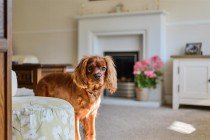 Images for Broad Hinton, Twyford, Reading, Berkshire, RG10