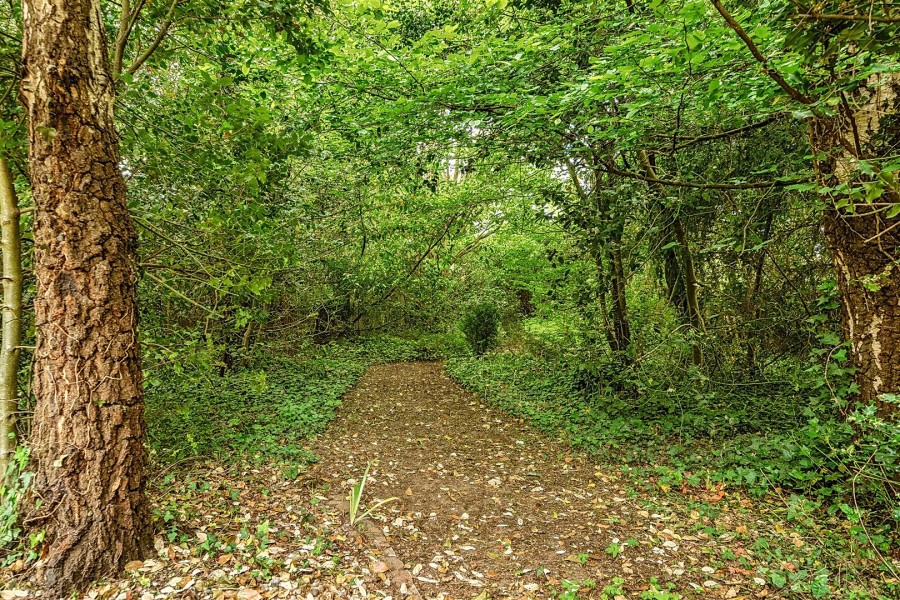 Images for Ruscombe Road, Twyford, Reading, Berkshire, RG10 EAID:wentworthapi BID:3