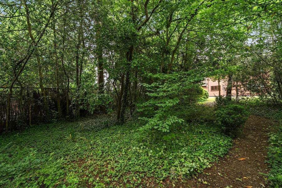 Images for Ruscombe Road, Twyford, Reading, Berkshire, RG10 EAID:wentworthapi BID:3