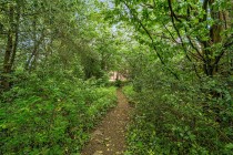 Images for Ruscombe Road, Twyford, Reading, Berkshire, RG10