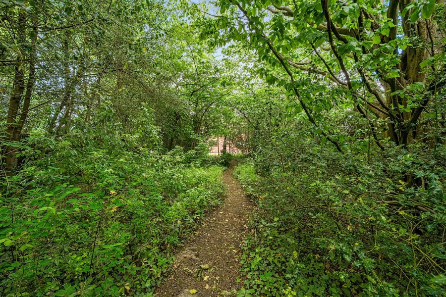 Images for Ruscombe Road, Twyford, Reading, Berkshire, RG10 EAID:wentworthapi BID:3